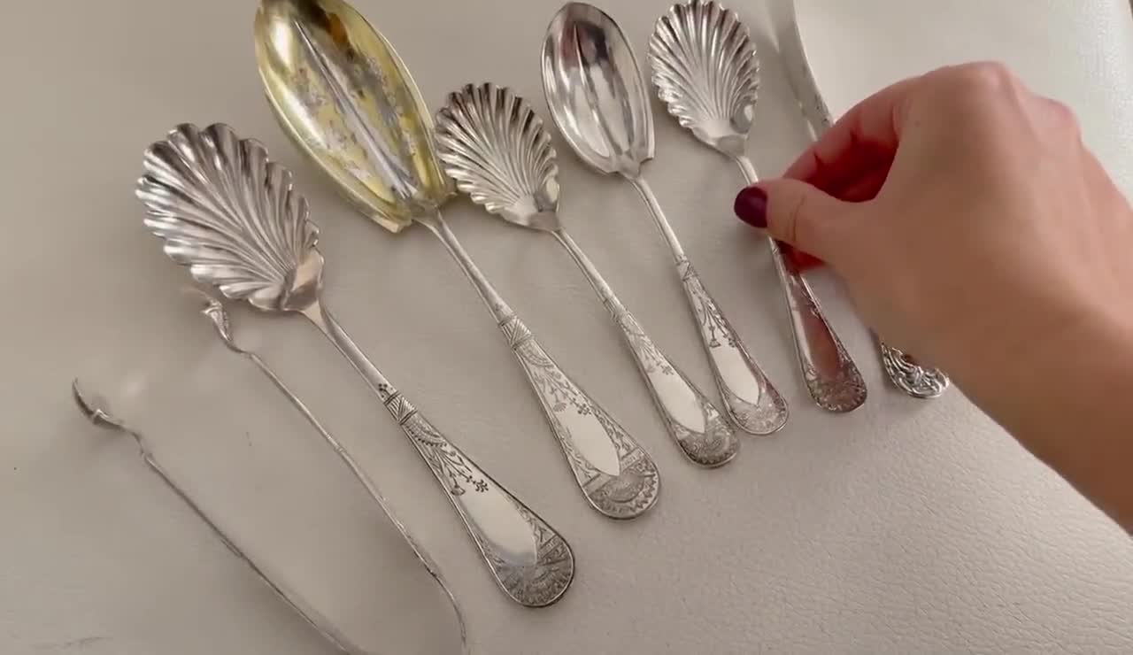 Ensemble De Service De Plat Antique – Art Nouveau – Motif Plantes – Métal Argenté – France