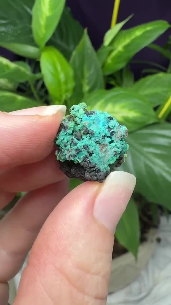 Chrysocolla~the Planet Mine~arizona~nature Made Goods~ledford's
