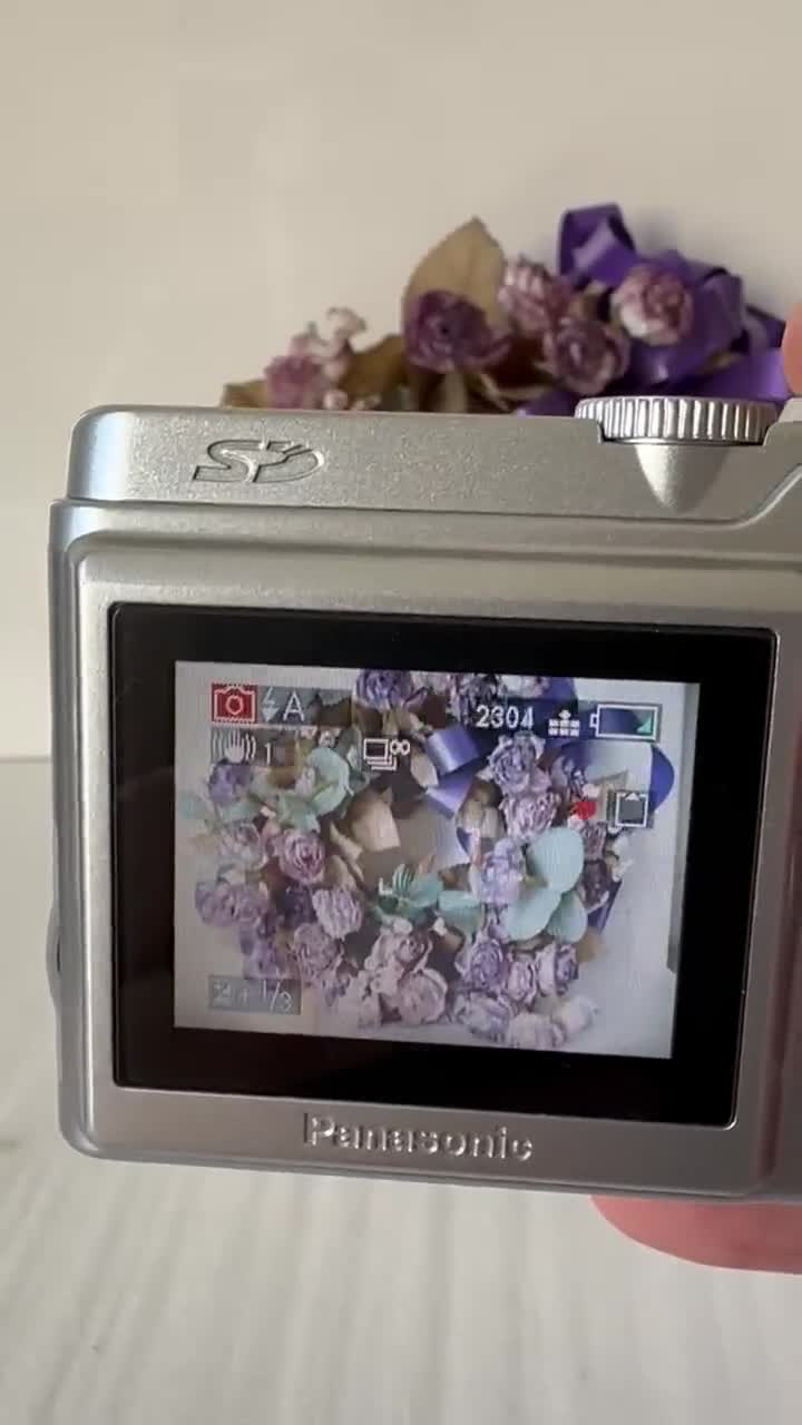 Panasonic LUMIX DMC-LS1 4.0 MP Digital Camera - Etsy