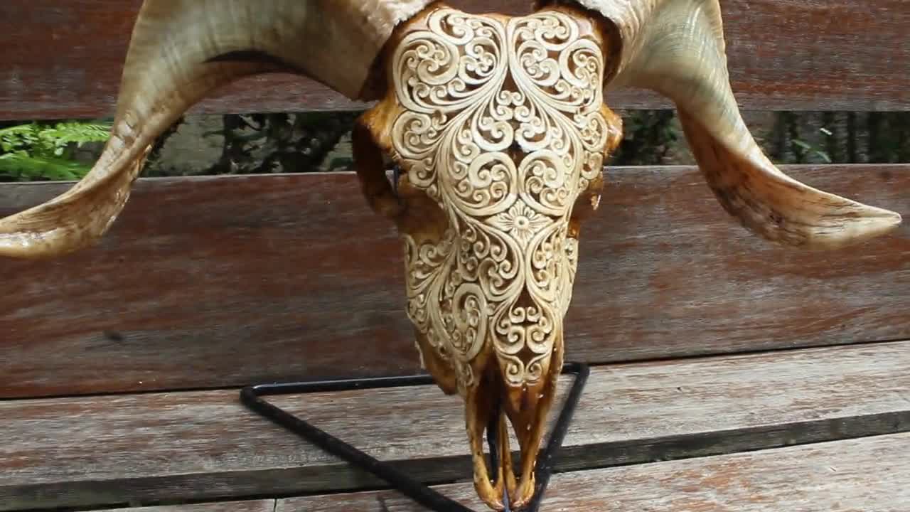 手彫りの雄羊の頭蓋骨：ブラウンアンティークホームデコレーション