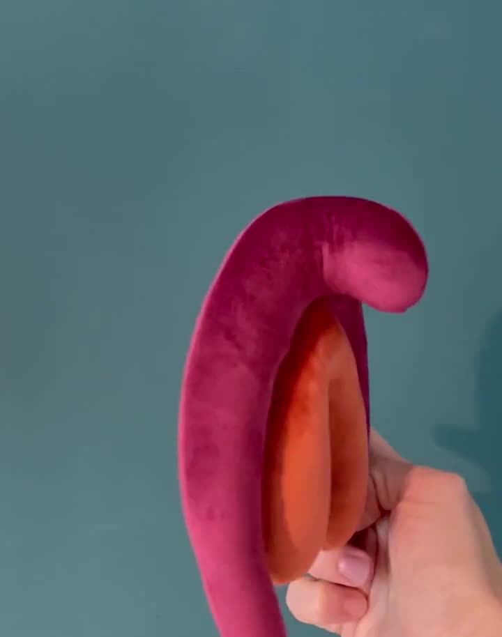 Zestaw poduszek anatomicznych pluszowych  srom, echtaczka, macica, penis,  plemnik, komrka jajowa