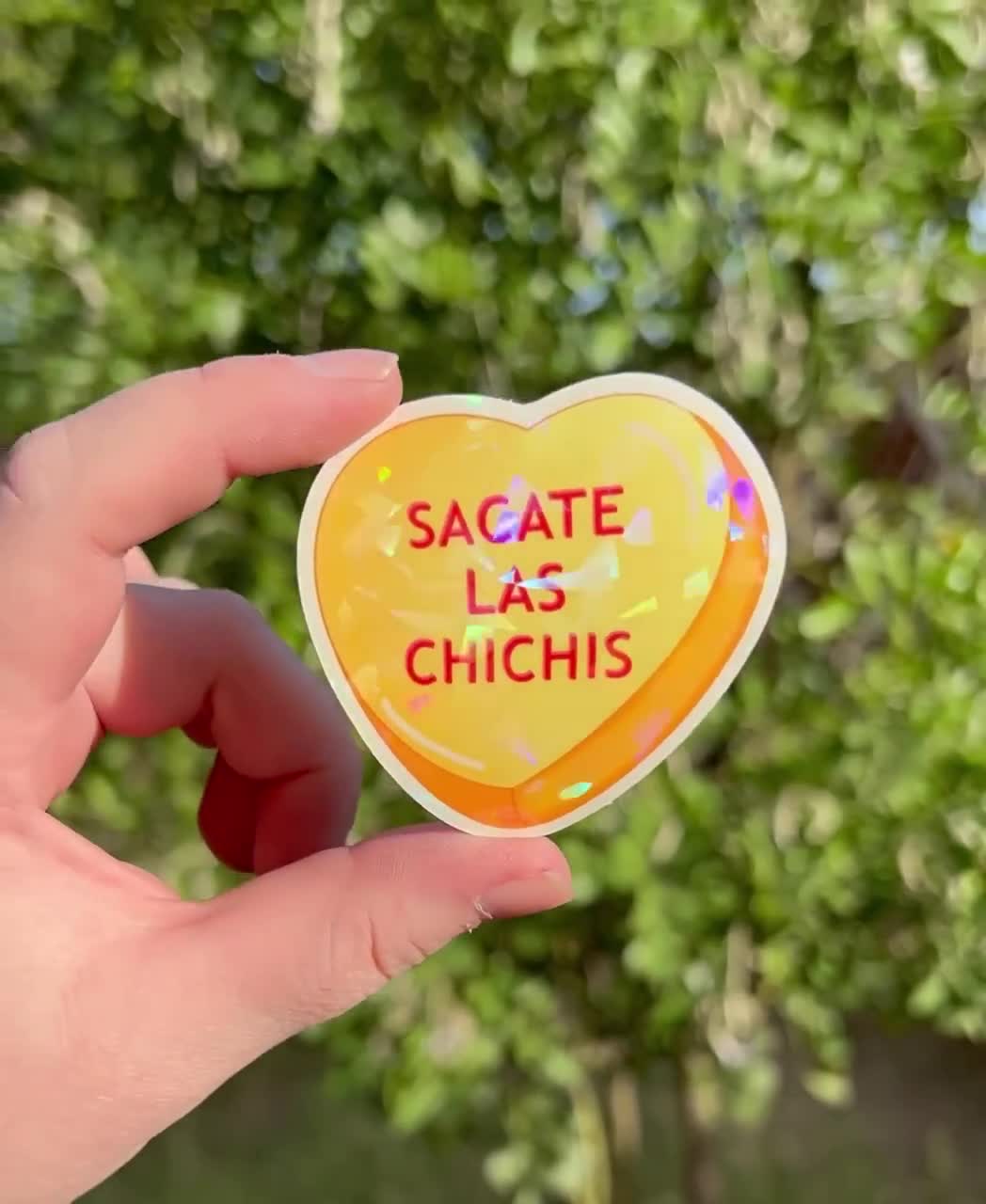 2.5-inch Sacate Las Chichis Sticker Spanish Sticker Latino Sticker  Valentines Day Sticker Glitter Sticker - Etsy Israel