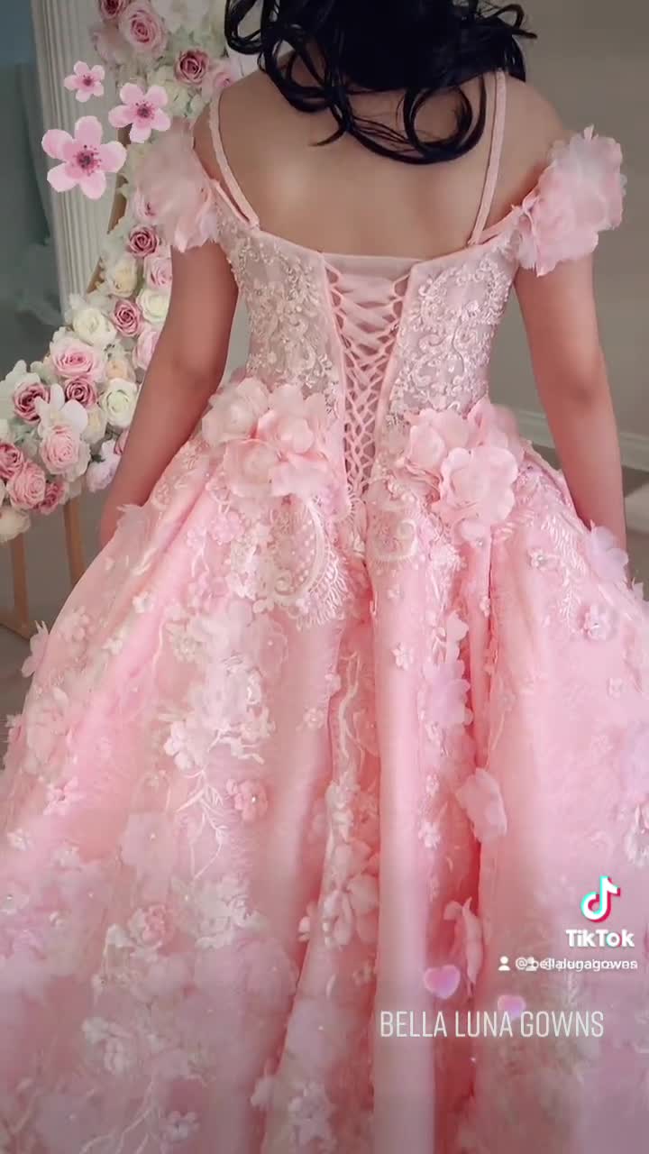 Donna in Vestito Rosa Da Principessa Immagine Stock - Immagine di ragazza,  bellezza: 149663953