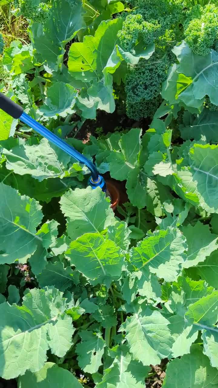 Olla grande de terracota con autorriego para jardinería resistente a la sequía - 1.25 galones video poster