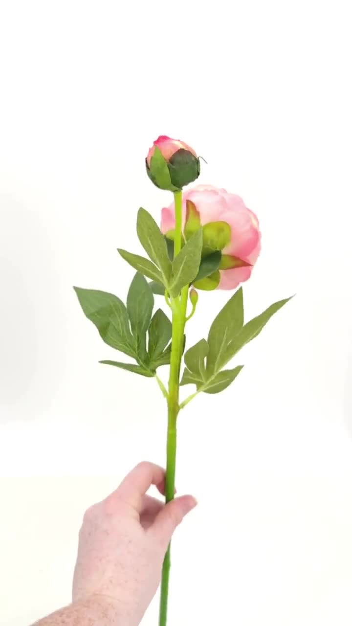 リアルタッチのピンクの牡丹の茎：人工フランス花飾り（25インチ