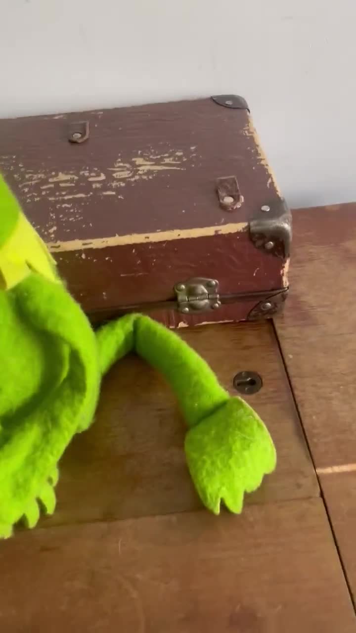 Peluche - Muppets - Kermit la Grenouille - 16 pouces - Vert - Mixte