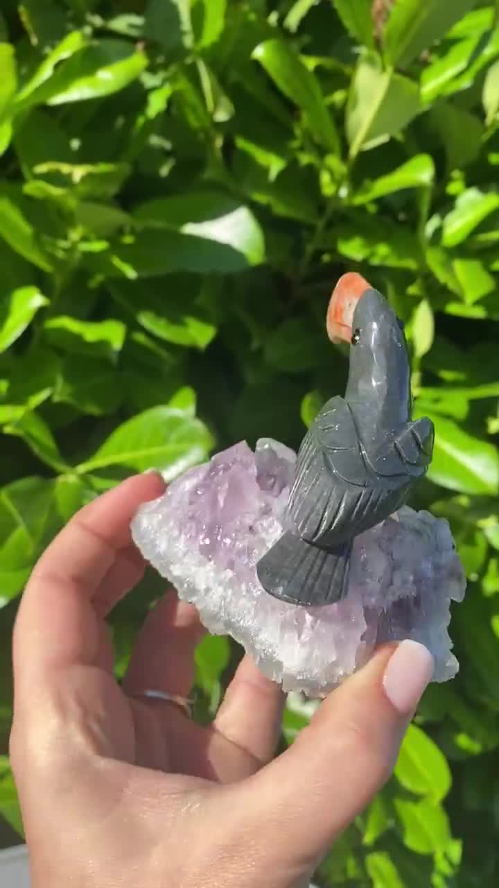Hand Crafted Brazilian Amethyst Tourmaline Calcite Tucan Crystal