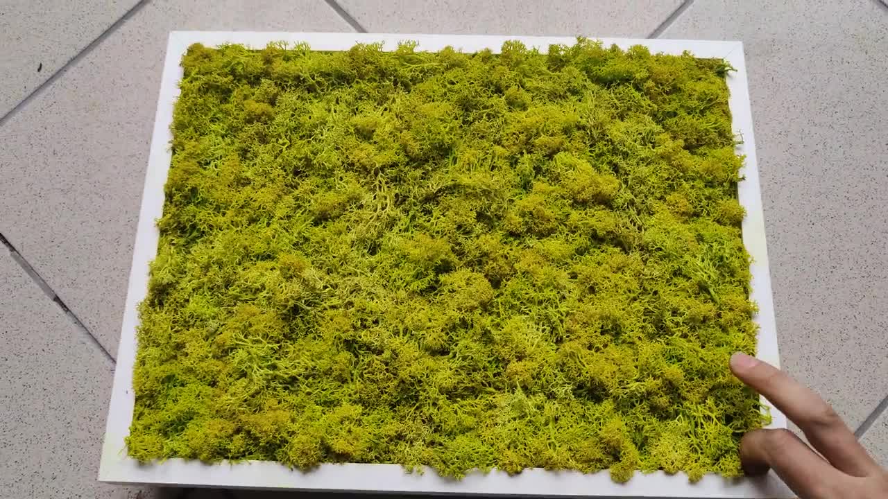 Pannelli di Lichene Stabilizzato 50x50 cm Nature Green Nordico Scandinavo
