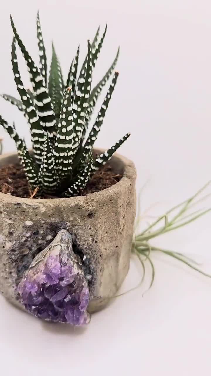 Geode Amethyst Crystal Planter, Large order Succulent Pot, Dark Concrete With Dark Amethyst From Uruguay, Gifts For Every Occasion And Holiday