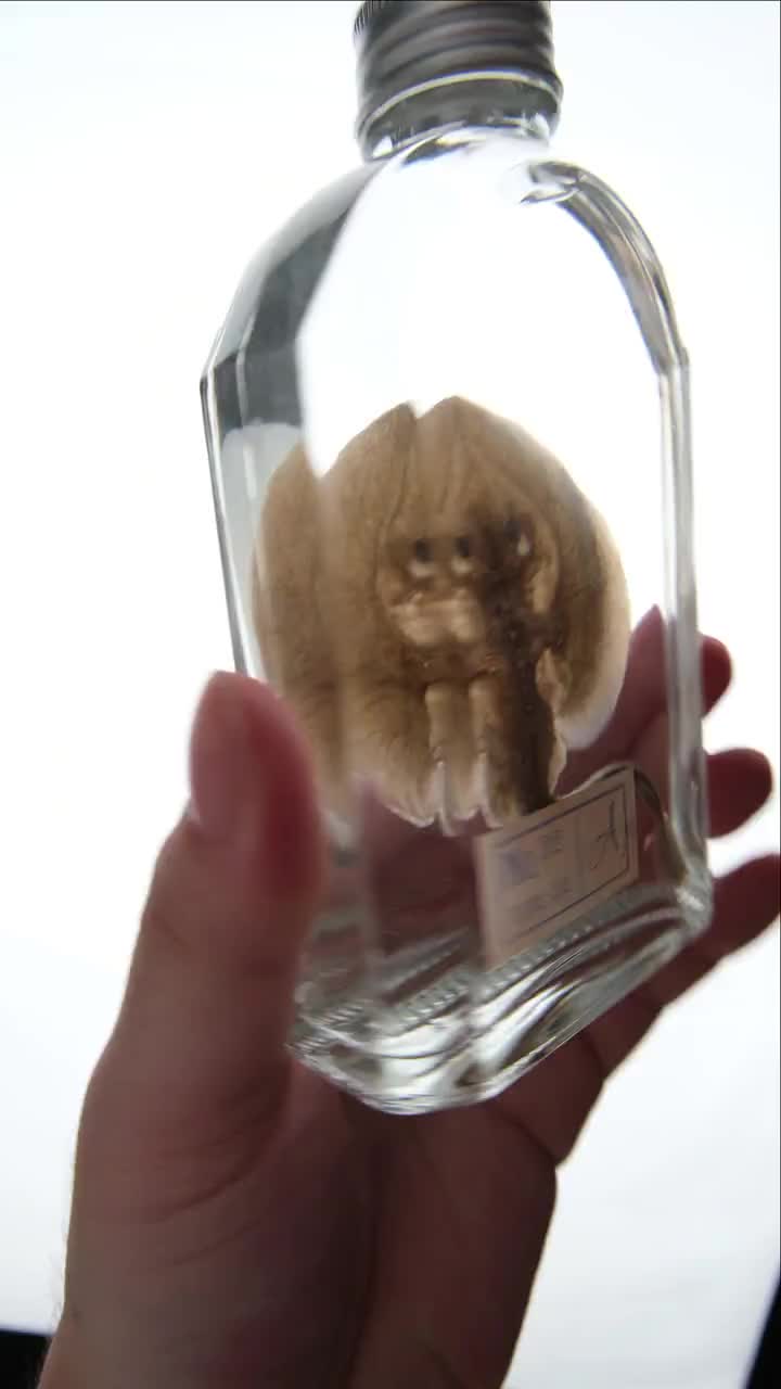Cute Smiling Stingray Wet Specimen In Glass Bottle, Exotic Fish Specimen Decoration, Unique Gift, Stingray, Smiling Fish Specimen video poster
