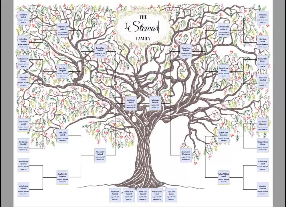 バートン　Family Tree Con Artist 152 スノーボード Burton family tree con artist 152 Burton Family
