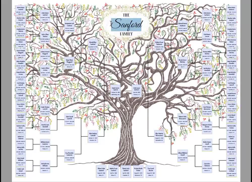 バートン　Family Tree Con Artist 152 Burton Family Tree Con Artist Snowboard 2013 | evo