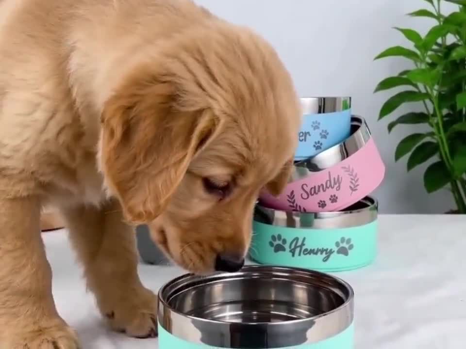 Personalized Insulated Stainless Steel Pet Bowl – Custom Name Dog Cat Feeder video poster