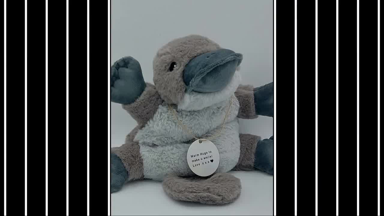 Warmies Microwavable Platypus 13