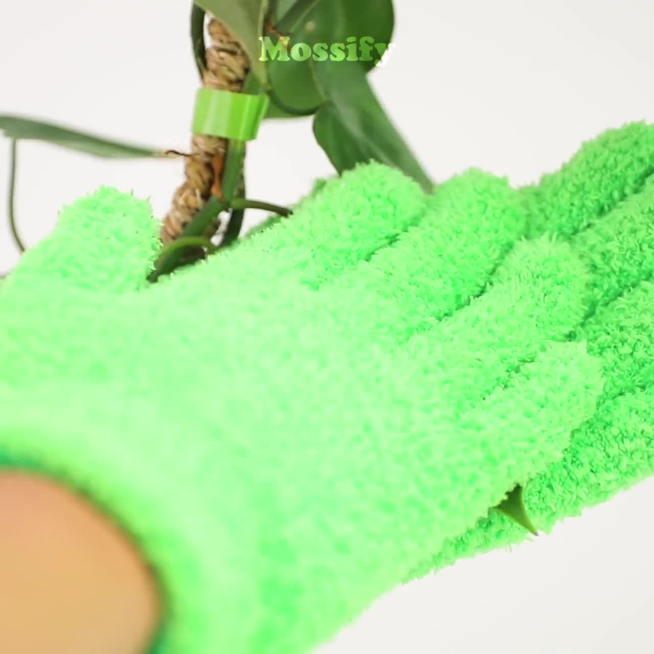  BLESS YOUR SOIL Microfiber Dusting Gloves for Plants : Premium,  Gentle, Traps Dust, Washable, Lint Free : Use with Big Leaf Energy  ready-to-use spray for houseplants : Health & Household