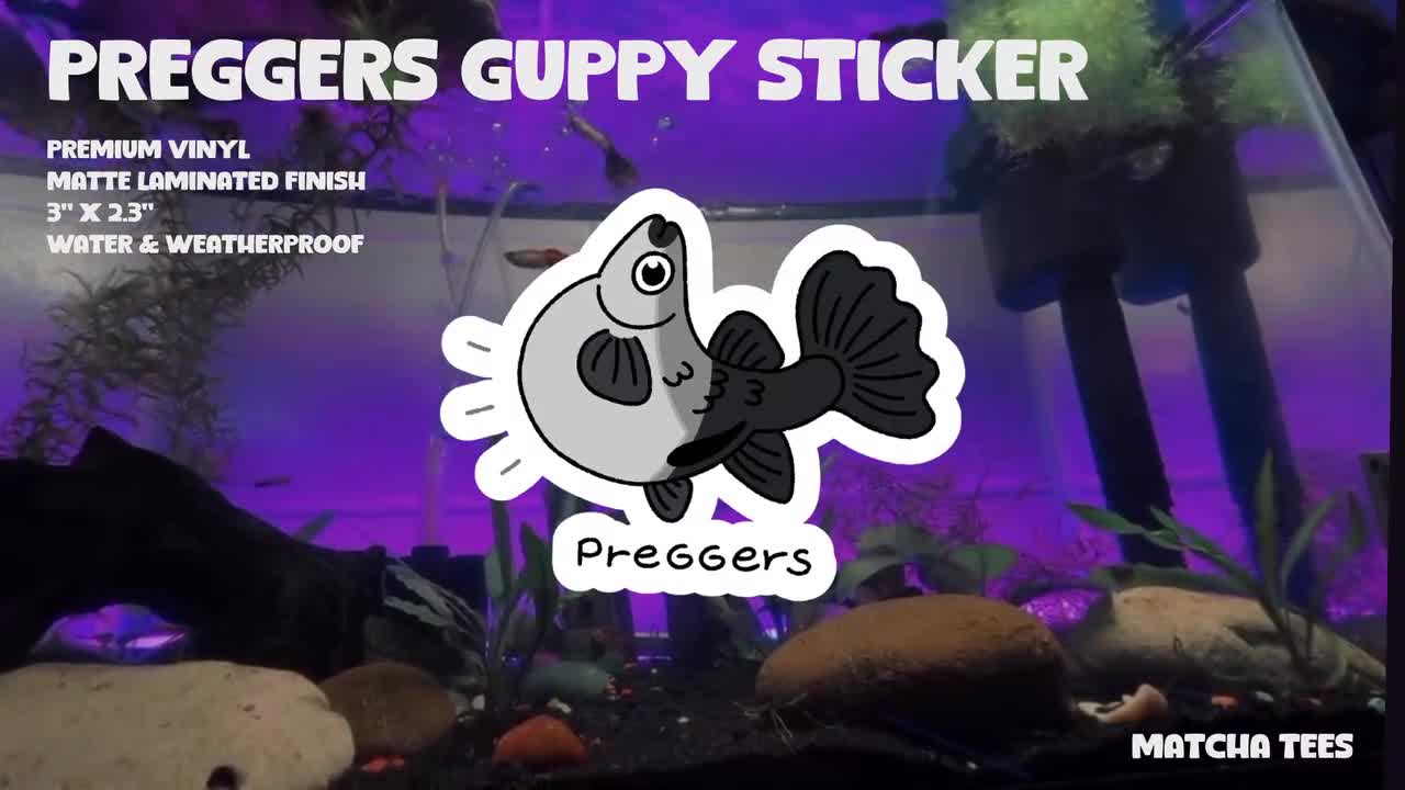 PREGGERS!! Cute Pregnant Guppy Matte Vinyl Waterproof Sticker