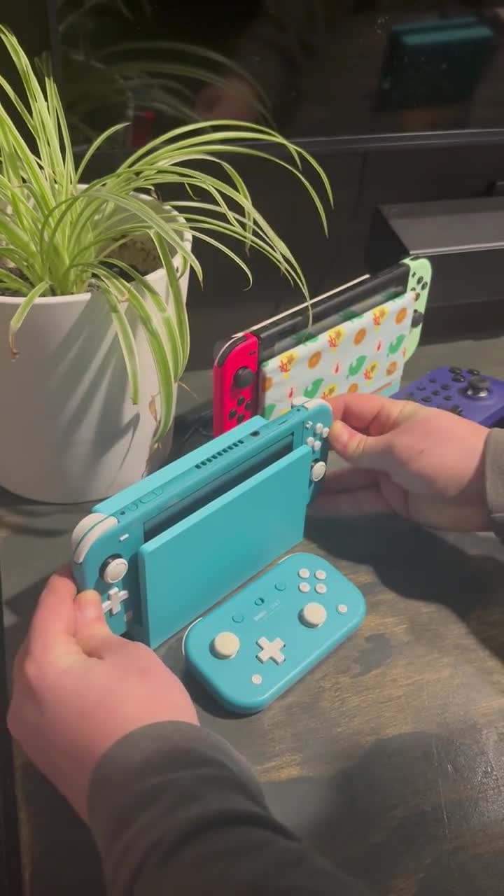 Nintendo Switch Lite Charging Dock Stand | USB-C Desktop Dock | 3D