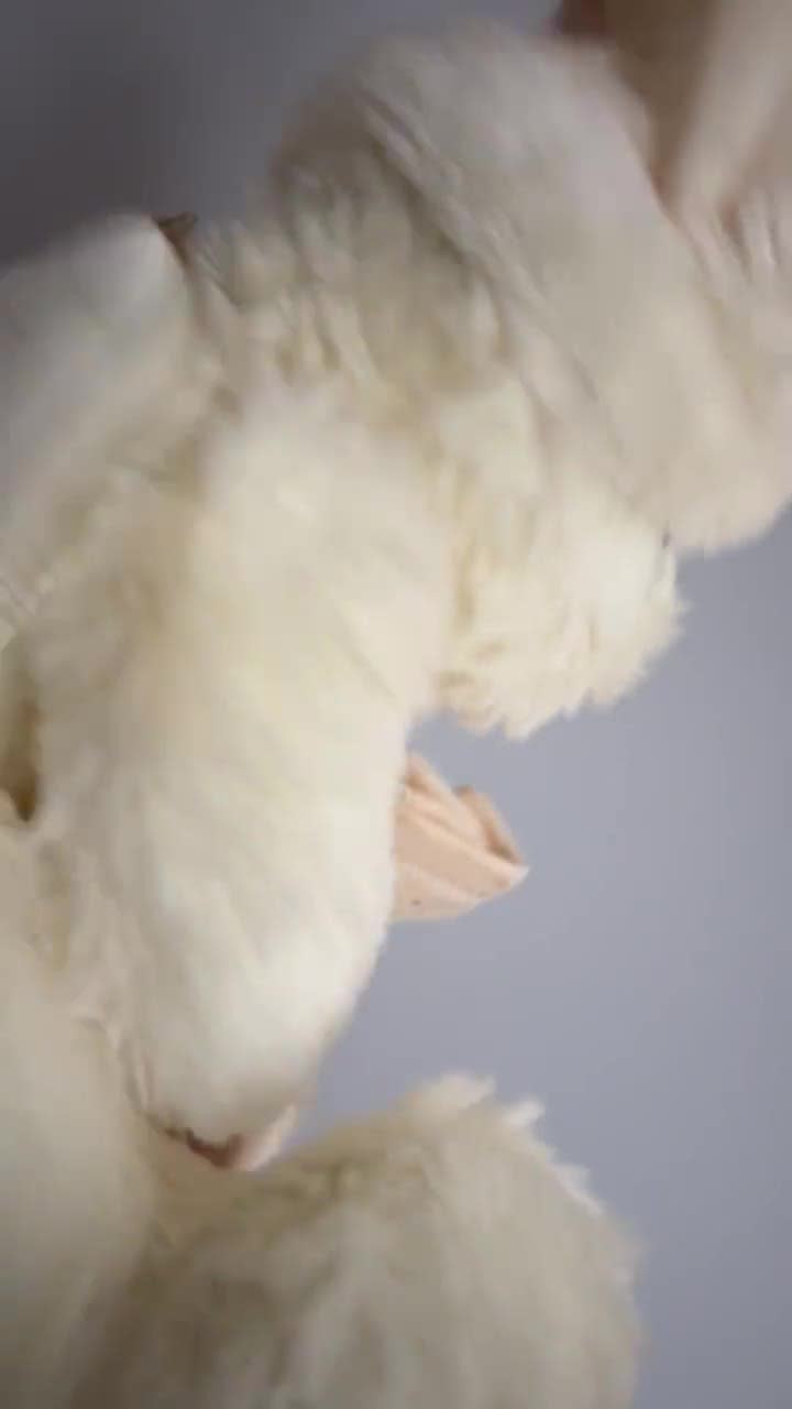 Vintage Woody Friends Angel Bear Plush with Wings, Gift Bag & Hat – 30 cm / 12” – Cream Teddy Bear video poster