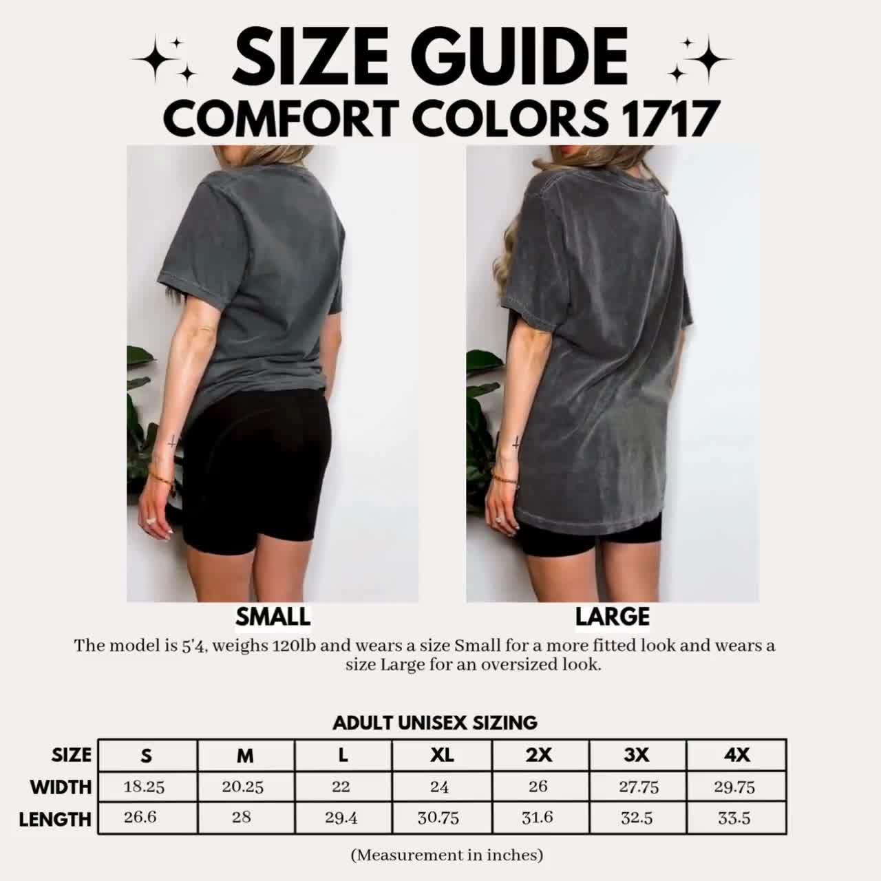 Comfort Colors® Pilates Gans Shirt, lustiges lustiges lustiges Gans Pilates Shirt,Reformer Pilates T-Shirt, Pilates Mädchen Geschenk, Pilates Liebhaber Shirt, Workout video poster