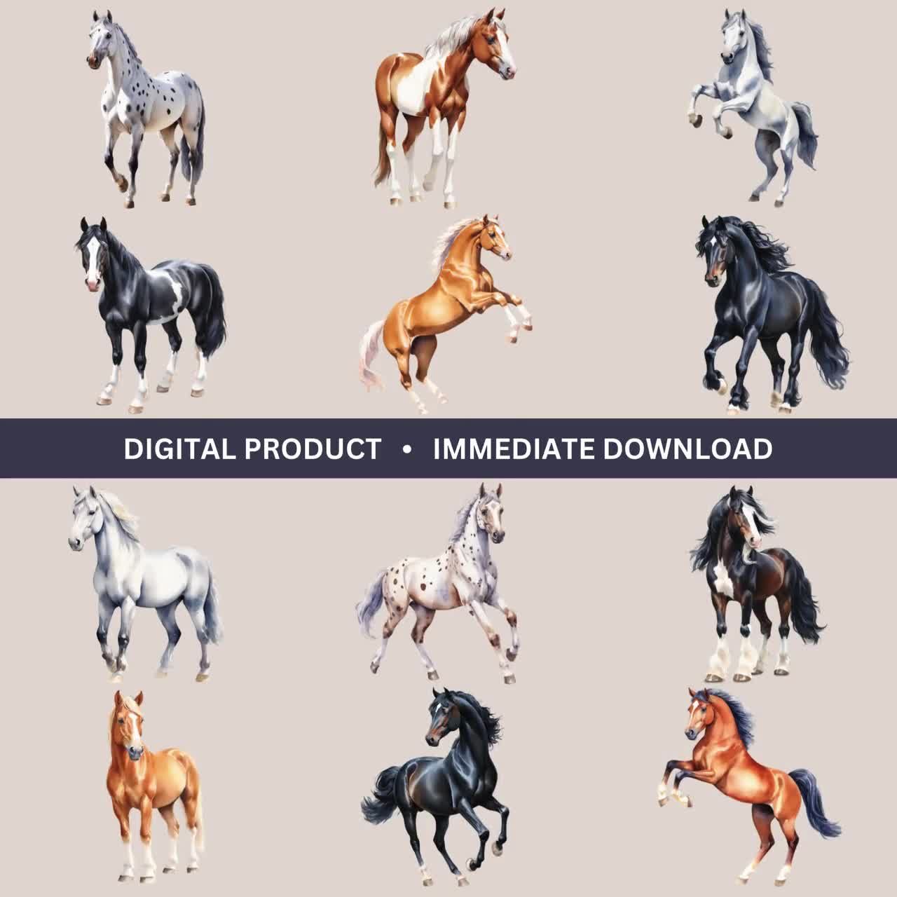 horseswatercolorvideo_yhn1hz.jpg