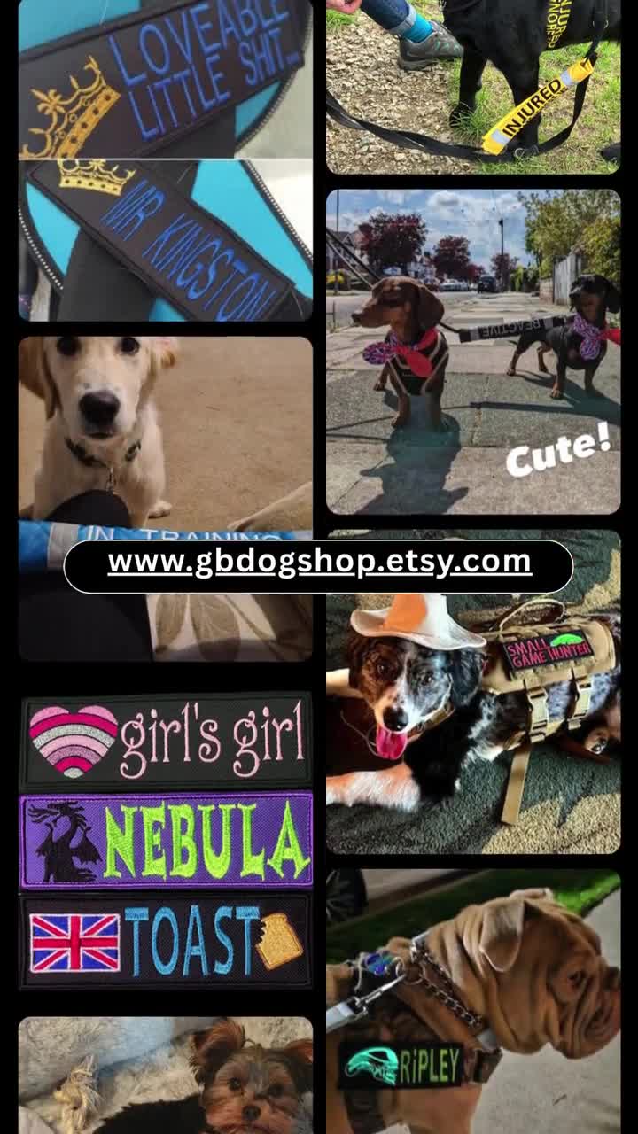 THERAPY DOG in TRAINING Dog Lead Slip Cover / or personalise text (all  languages) - 25+ fabric colour choices