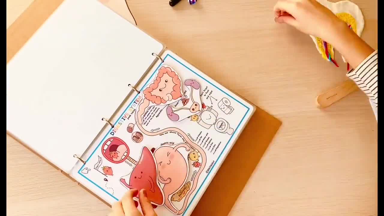 Cahier D'anatomie Effaçable à Sec - 100+ Pages Couleur - Étiquetage Des Systèmes Corporels - Pour étudiants Médecine, Infirmières - 26,5x17,5 Cm