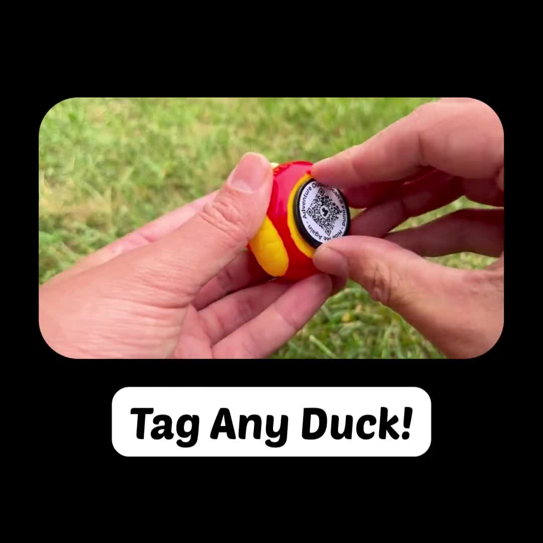 Adventure Duck Kit - Rubber Duck Travel Log Game! - Etsy