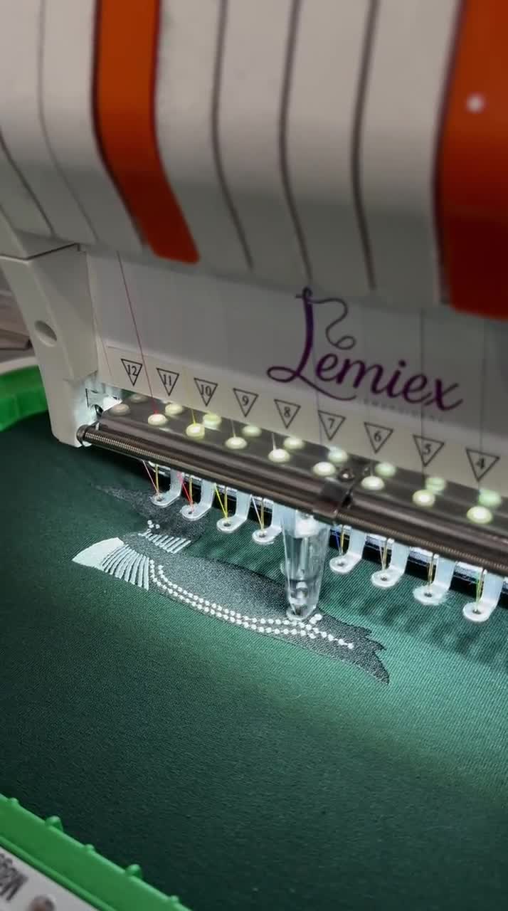 Disneyland Embroidered Sweatshirt, Disney Embroidered Shirt, Vintage Theme Park Embroidered Sweatshirt, Disney Crewneck, Park Outfit Gift video poster