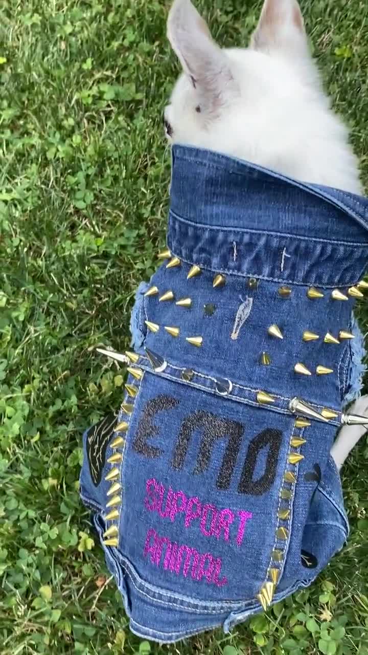 Dog denim outlet vest diy