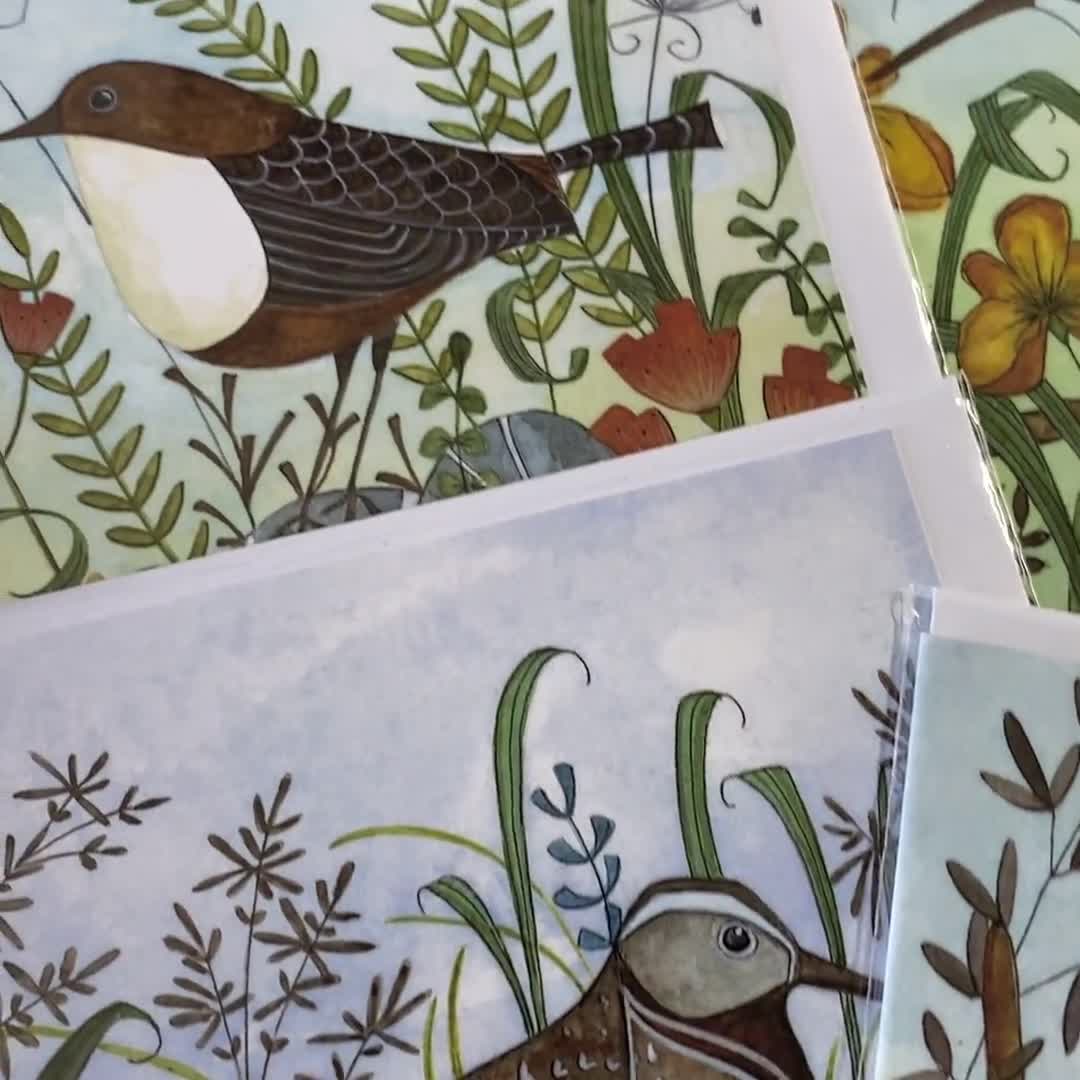 Tarjetas de felicitación con motivos de aves silvestres, arte inspirado en la naturaleza, seis diseños de fauna silvestre en acuarela, estuche de regalo. video poster