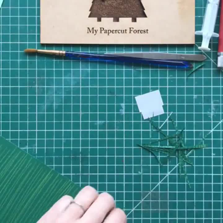 DIY Paper Craft Kit, Boat Craft Kit, Adult Paper Cutting Kit 