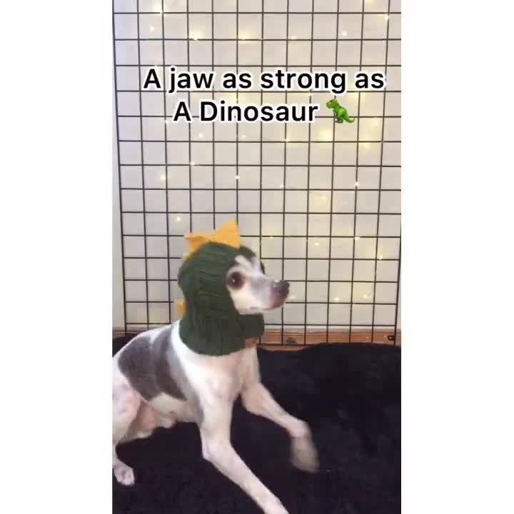 2 Cappelli Da Coniglio Per Animali Domestici - Lana D'Agnello, Regolabili, Per Cani E Gatti - Foto 13