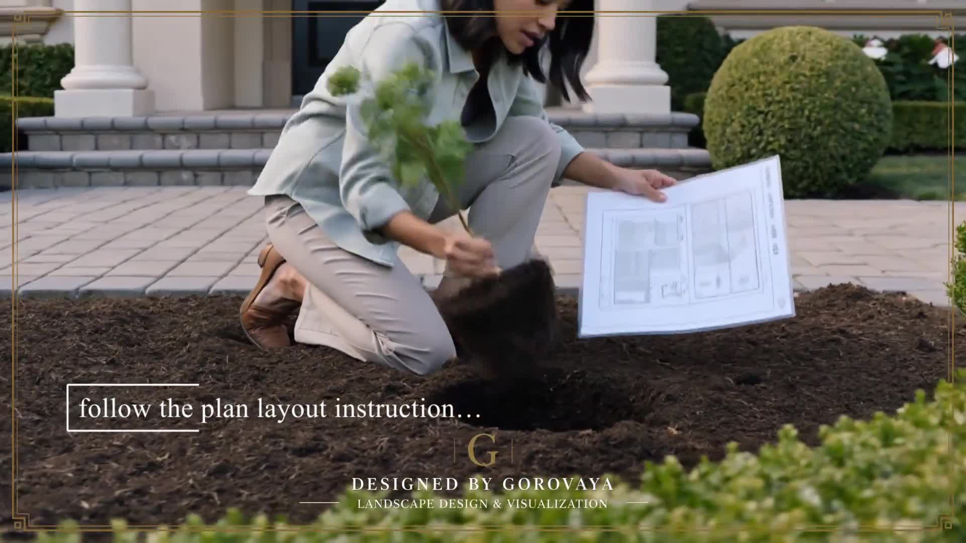 Premade Landscape Design: Zone 8-9, Double Knockout Roses, Boxwood