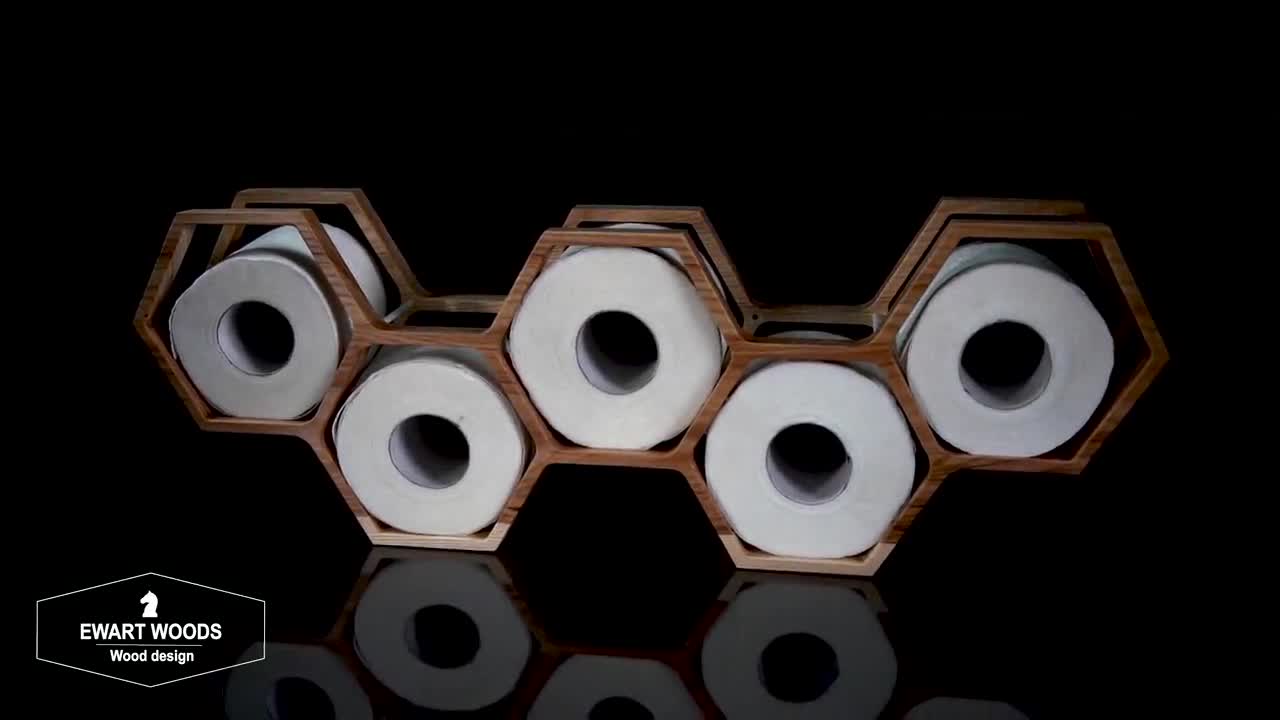 🧻 15 Beautiful Toilet Paper Origami Designs 