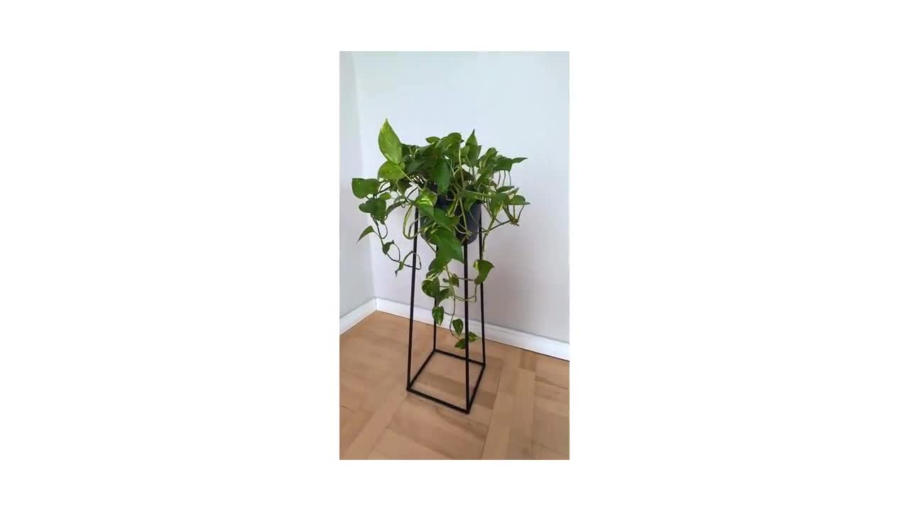 Supporto per piante in metallo, altezza 60 cm, stabile e solido