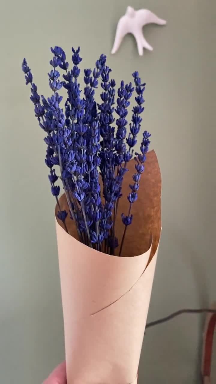 Lavanda essiccata Mazzo di fiori secchi Blu 25cm 75g-060k