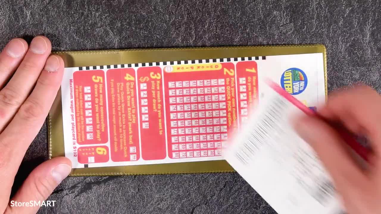 StoreSMART - Lotto Ticket Holders - Single Pack - 4x9 Plastic LT Purple