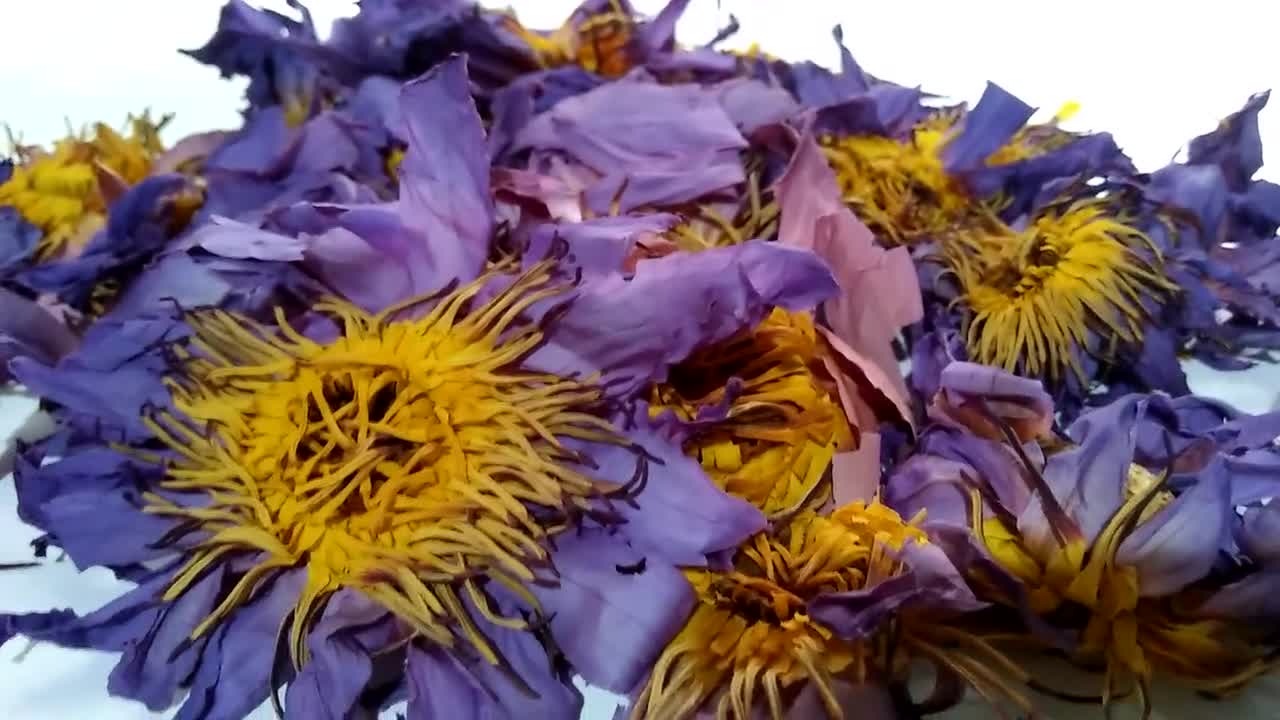 100% Sun dried Organic Egyptian Blue Lotus Flowers~Whole Flowers & Crushed  Flowers~Nymphaea caerulea Sacred water lotus~Sacred Water Lily