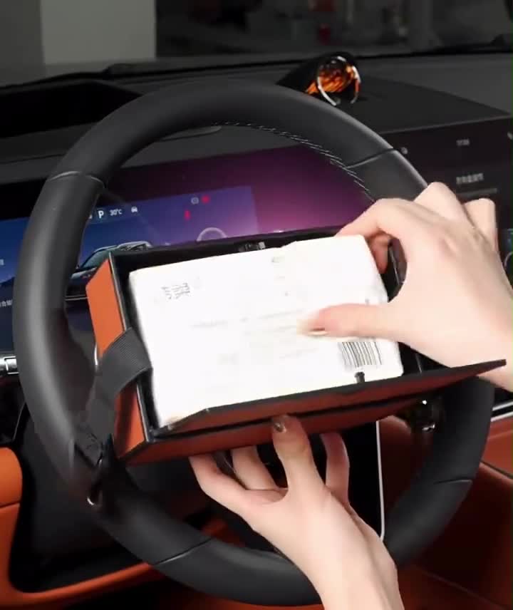 Mitsubishi Auto Seite Emblem Taschentücherbox Sitz Rücken Armlehnen Box video poster