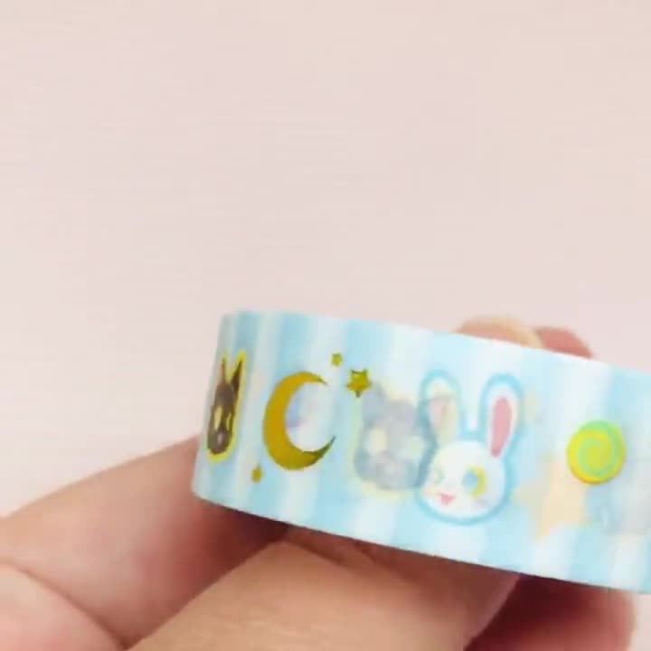 Seconds Sky Blue Cat Moonphase Holographic Foil Washi Tape – Meow