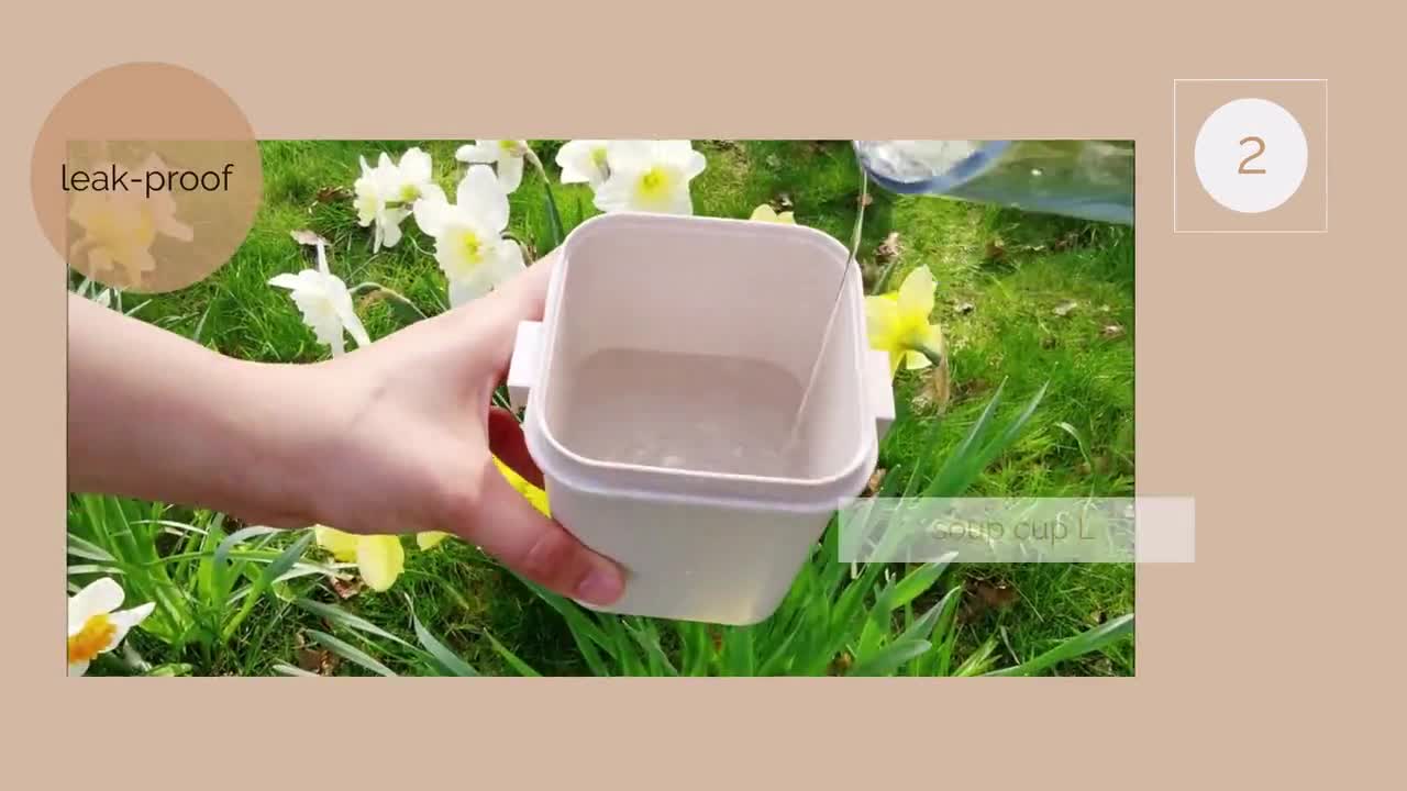 Simple Plastic Square Lunch Box With Dividers For Students And  Professionals, Microwaveable With Utensils, Portable And Compact - Lunch Box  - AliExpress