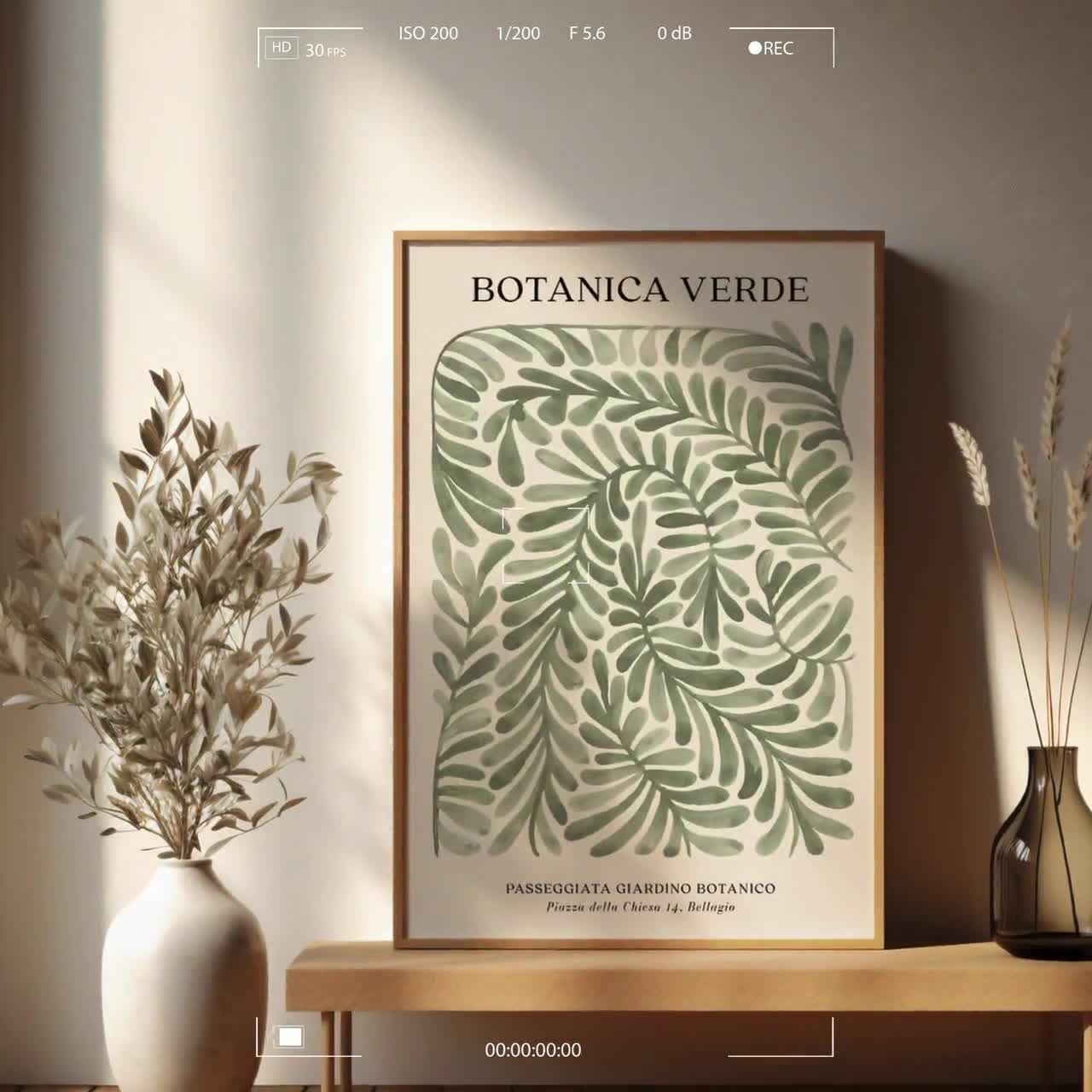 Boho Wall Art Set of 3, Green Gallery Wall Art Prints, Minimal Botanical Abstract Posters, Modern Neutral Home Decor, Olive Green Wall Art video poster