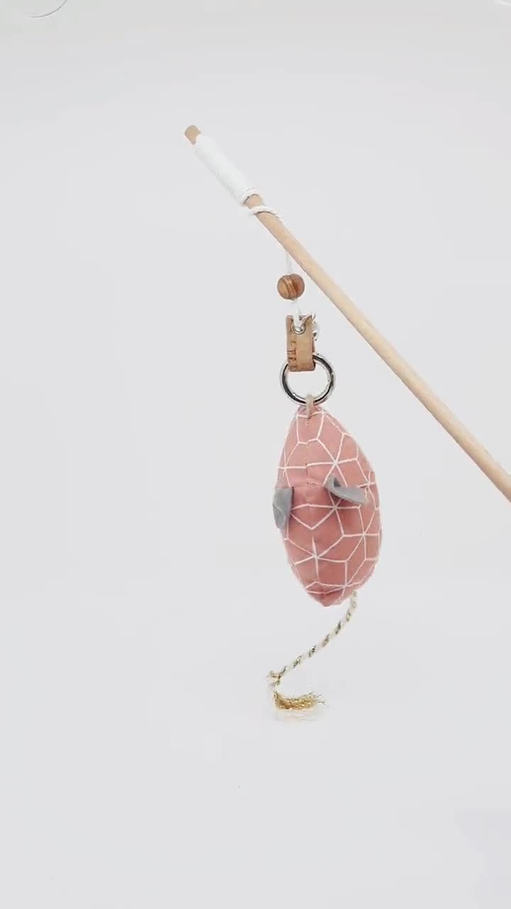 Mouse catnip video poster