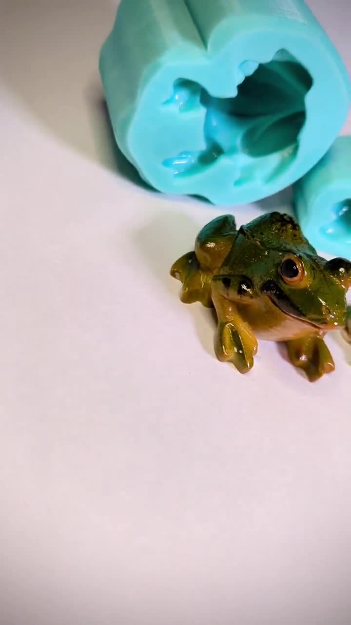 Molde Resina Epoxi Caracol Rana Molde De Silicona Para Figuras De Animales - Caracol Y Rana, Perfecto Para Resina Epoxi Y Manualidades Molde Resina Epoxi Caracol Rana Manualidades DIY