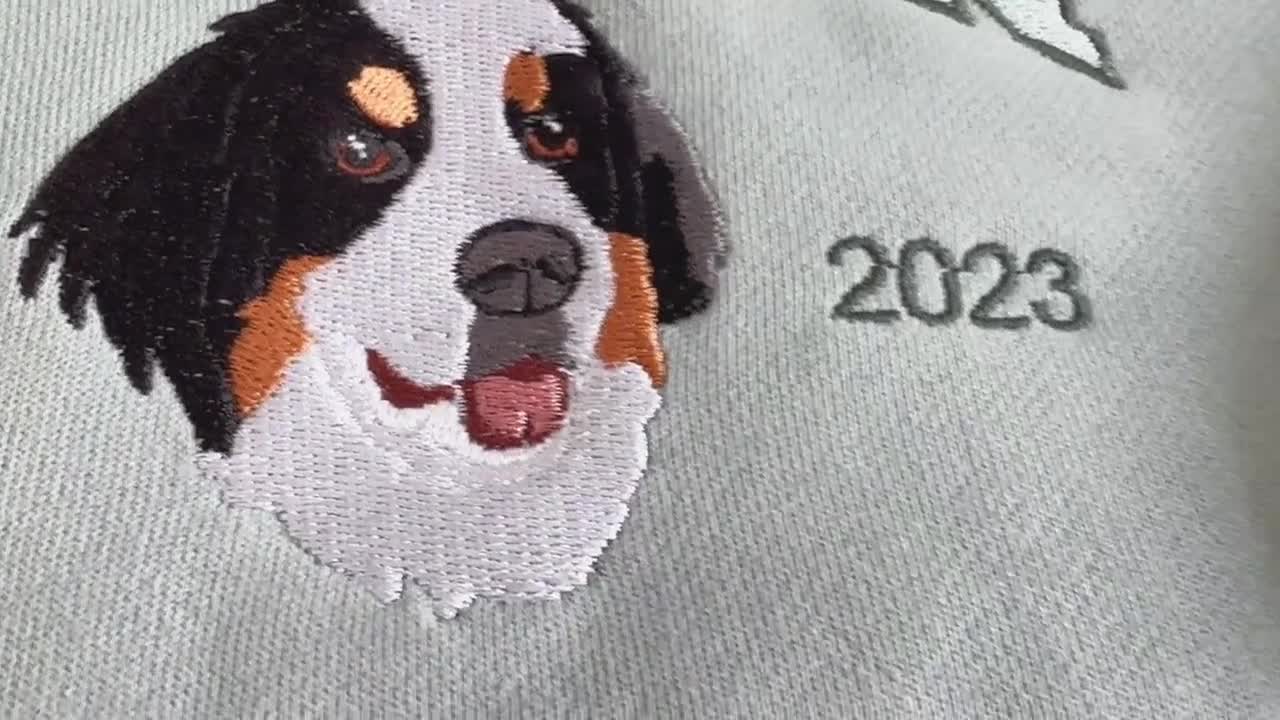 Custom Dog Hoodie Embroidered Dog Name, Personalized Pet