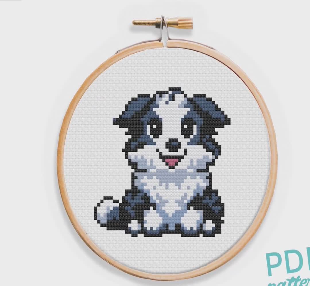 madmollie-bordercollie_s3jlff.jpg