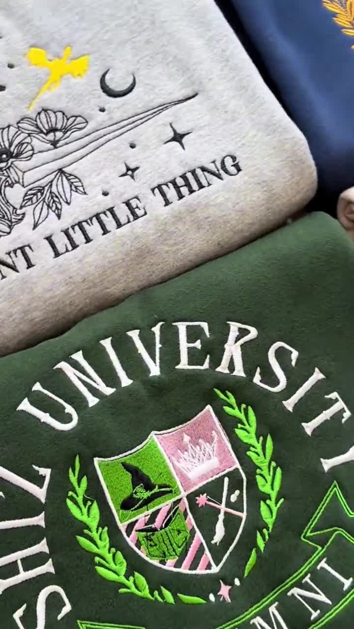 Minnie & Co Est 1928 geborduurd sweatshirt, Minnie Mouse-sweater, familie Disneyland-shirt, Disney Magic Trip-shirt, kindersweater video poster