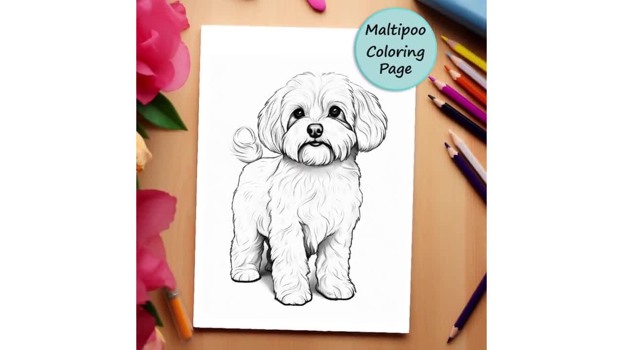 Maltipoo, Dog, Coloring Page, Pet Portrait, Dog Coloring, Printable  Coloring Page, Coloring for Adult, PNG, Instant Download, Commercial Use