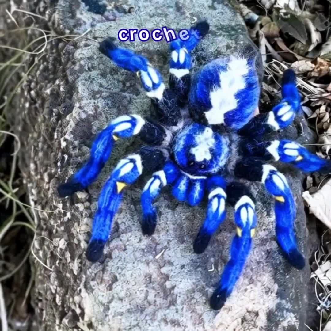 Crochet Pattern – Poecilotheria Metallica Tarantula | Realistic