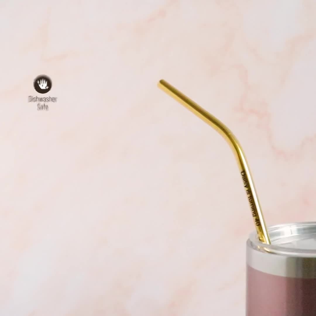 Stainless Steel Straw Philippine Coffee, Store| Bo's Coffee